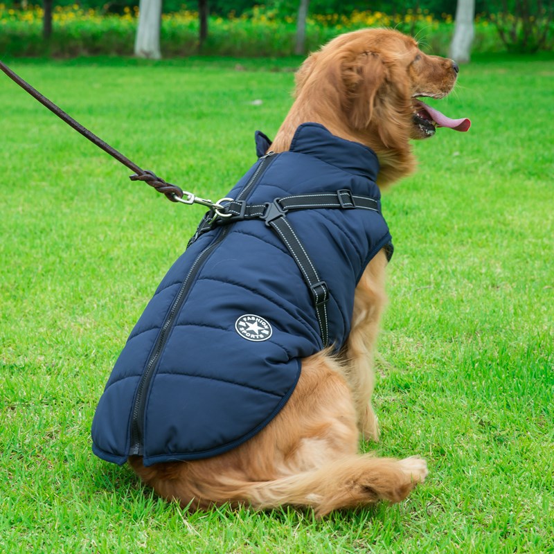 ウェイホン・ベイヤー 大型犬用 防水コットン ドッグコート