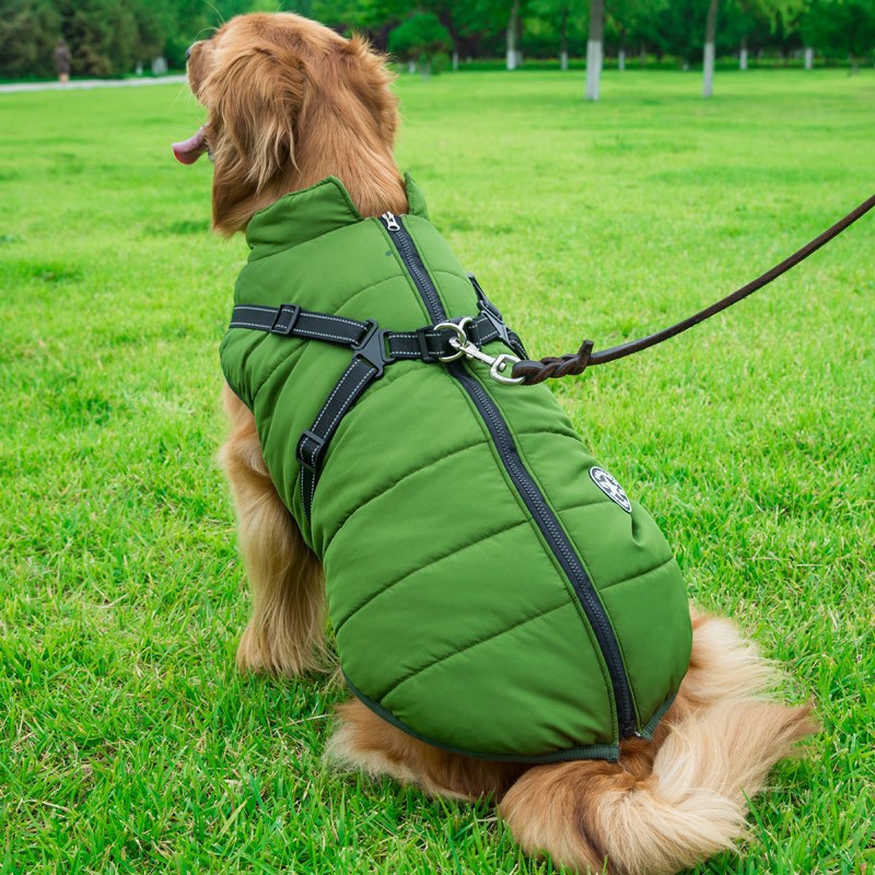 ウェイホン・ベイヤー 大型犬用 防水コットン ドッグコート