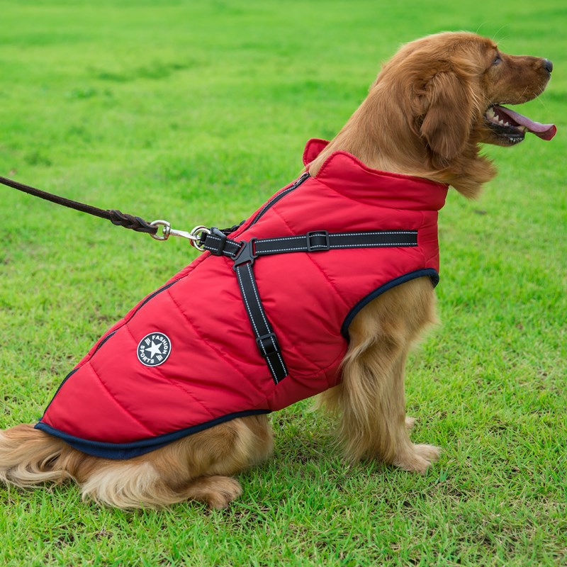 ウェイホン・ベイヤー 大型犬用 防水コットン ドッグコート