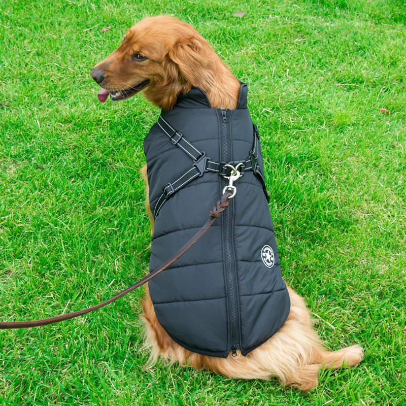 ウェイホン・ベイヤー 大型犬用 防水コットン ドッグコート