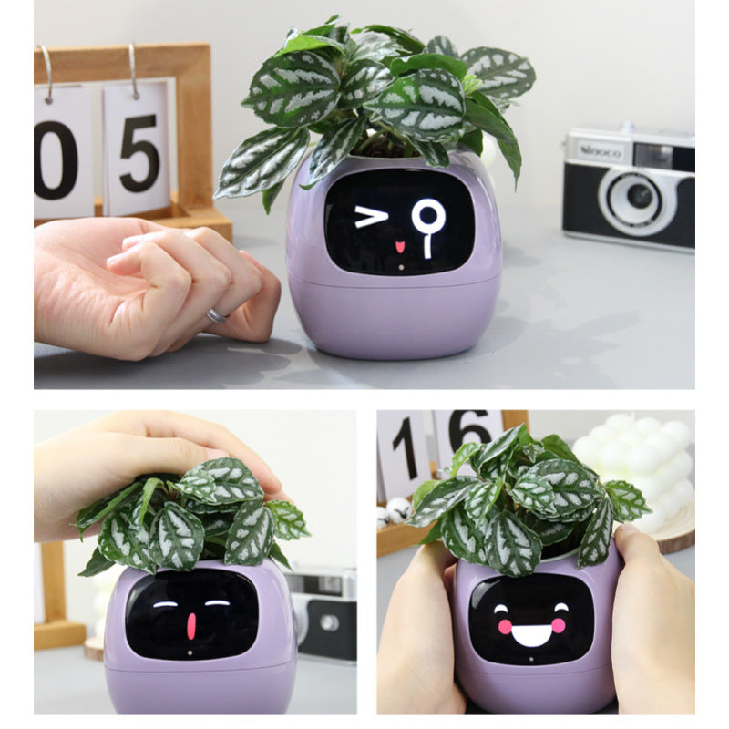 🌱 IVY Plant – 癒しのAIを搭載したかわいいペットロボット
