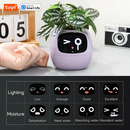 Tuya Ivy スマートプランター、49 種類以上の表情で無限の楽しみ